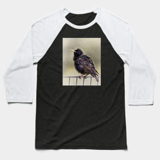 Starling Baseball T-Shirt